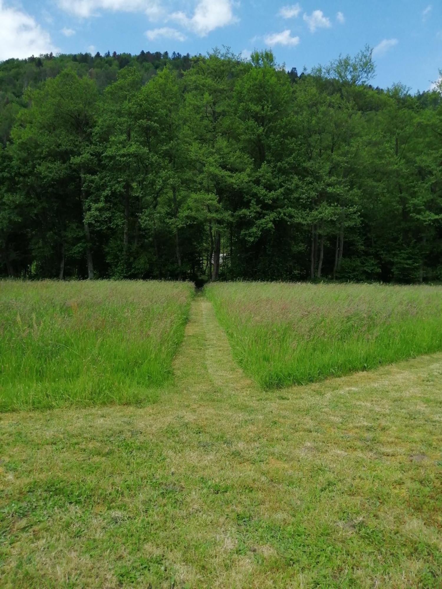 La Nature Sapois  Exterior photo
